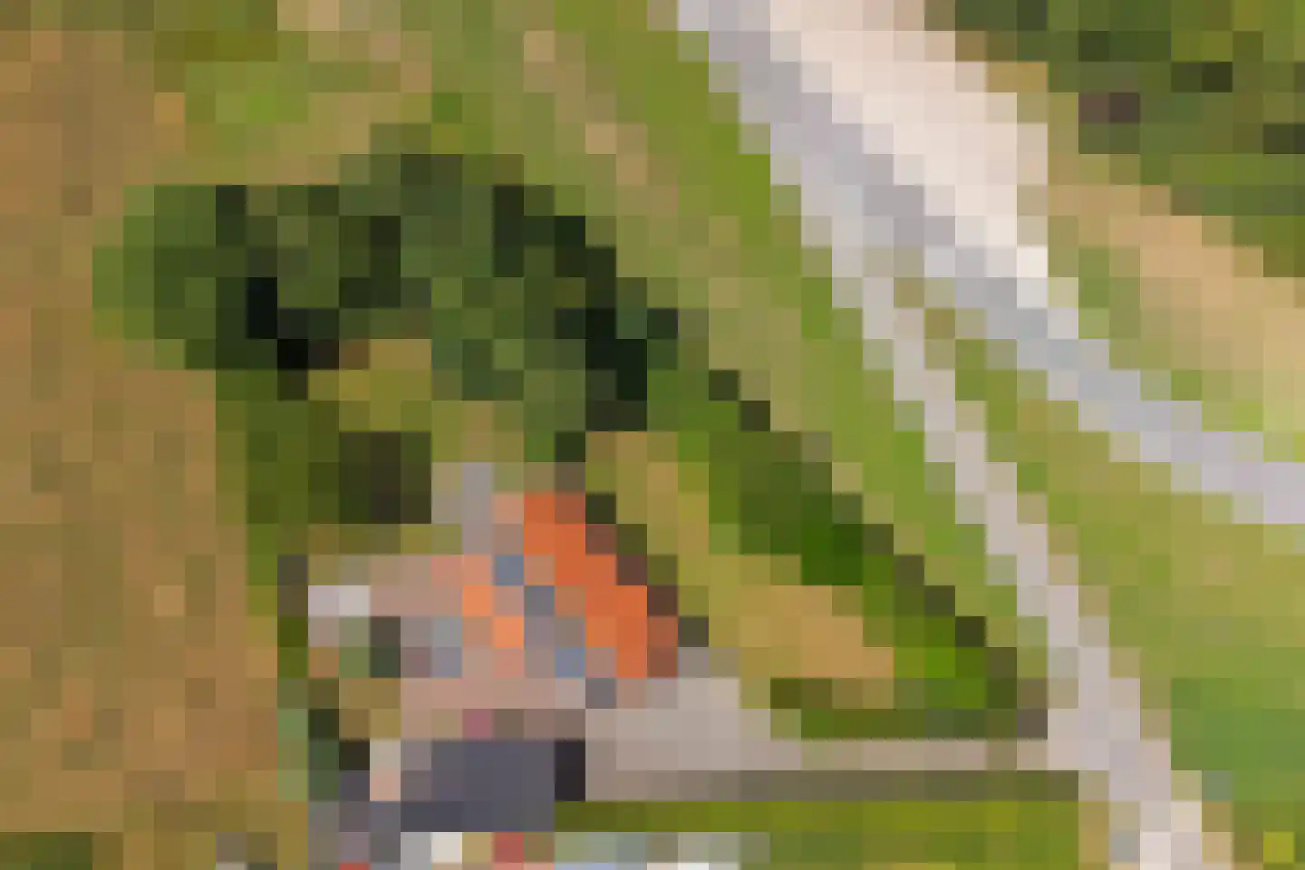 Hoge Maasdijk 152 Andel thumbnail 38