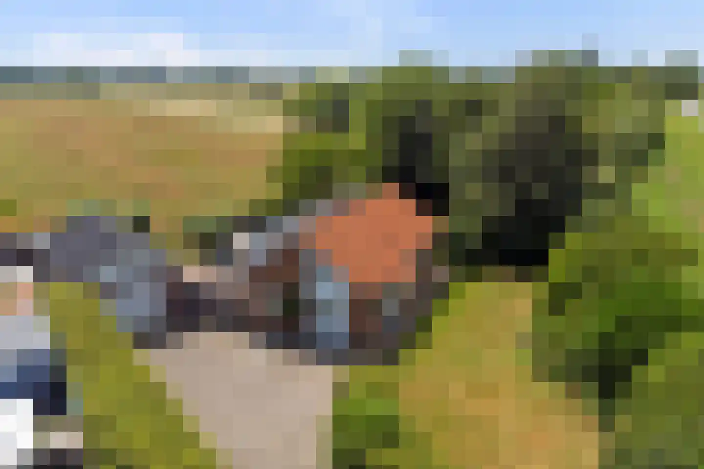 Hoge Maasdijk 152 Andel thumbnail 39