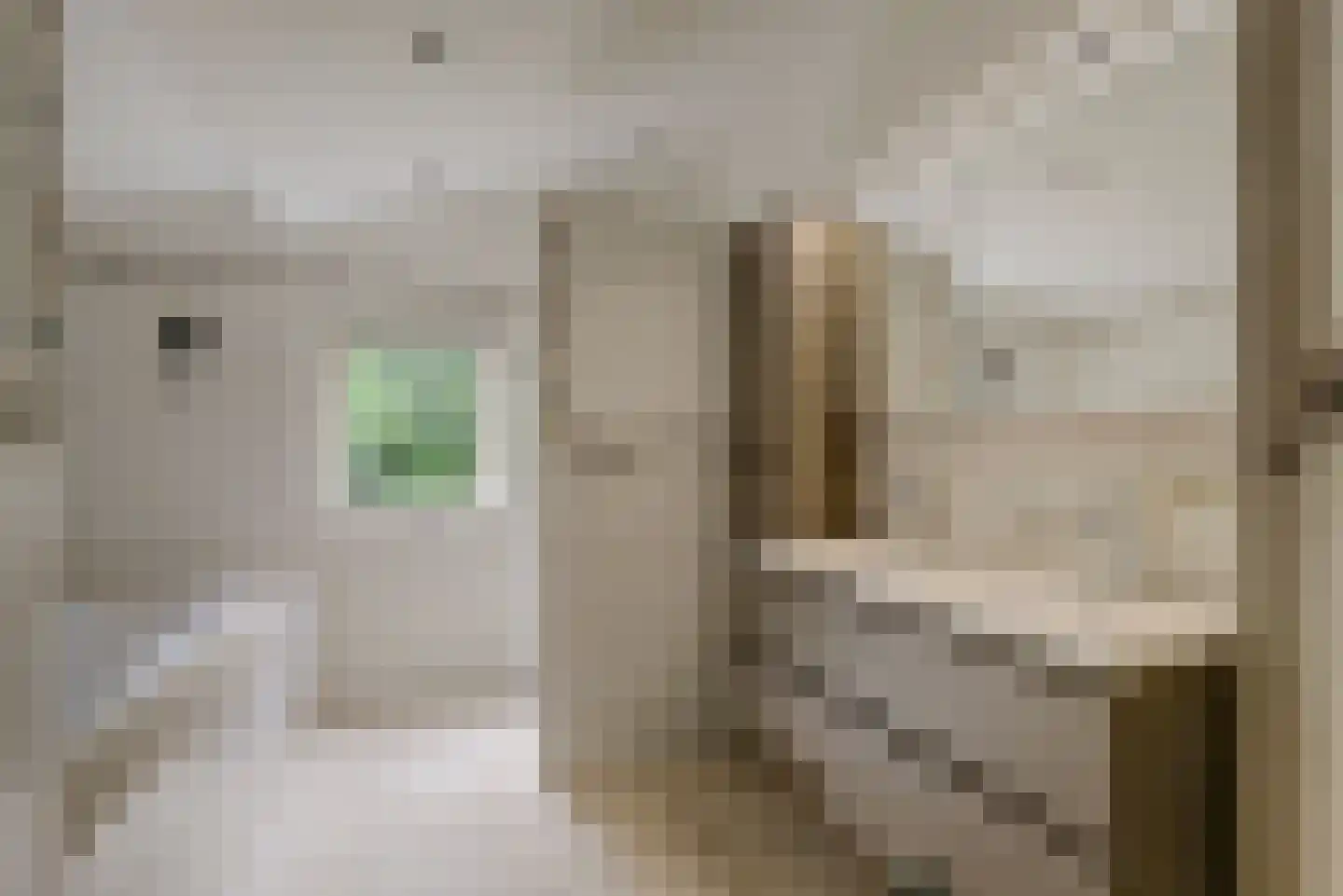 Hoge Maasdijk 152 Andel thumbnail 4