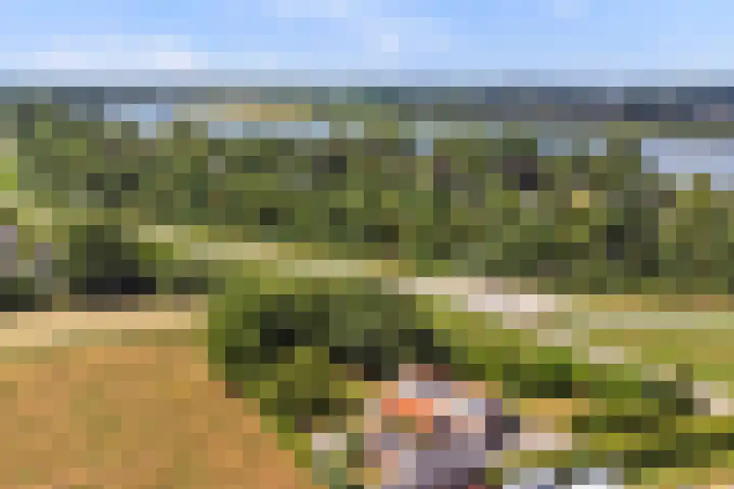 Hoge Maasdijk 152 Andel thumbnail 41