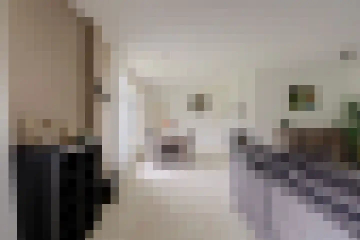 Hoge Maasdijk 152 Andel thumbnail 7