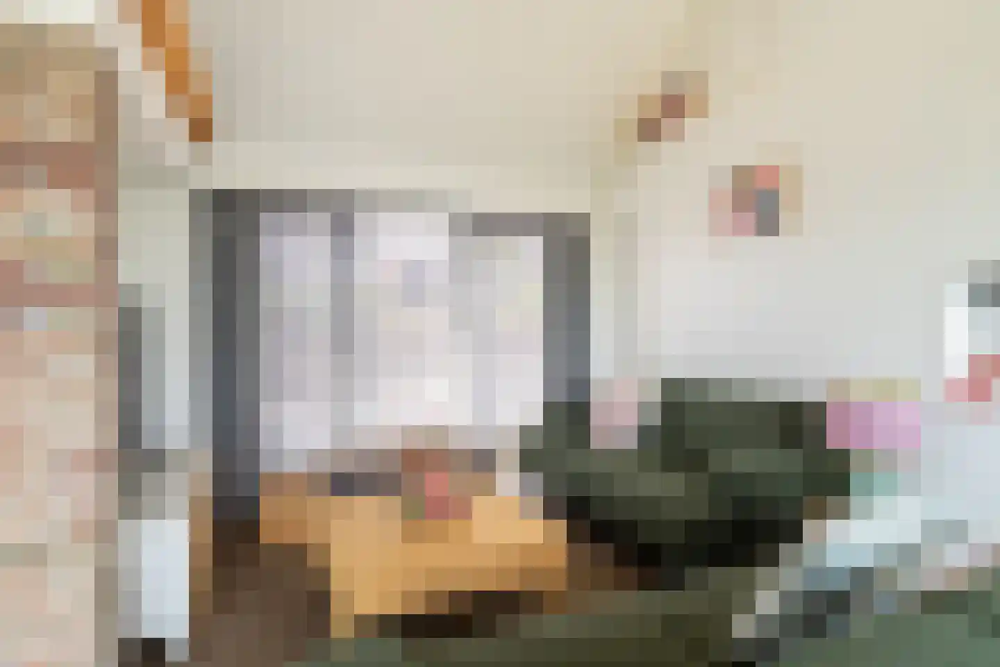 Hoge Maasdijk 27 Andel thumbnail 10