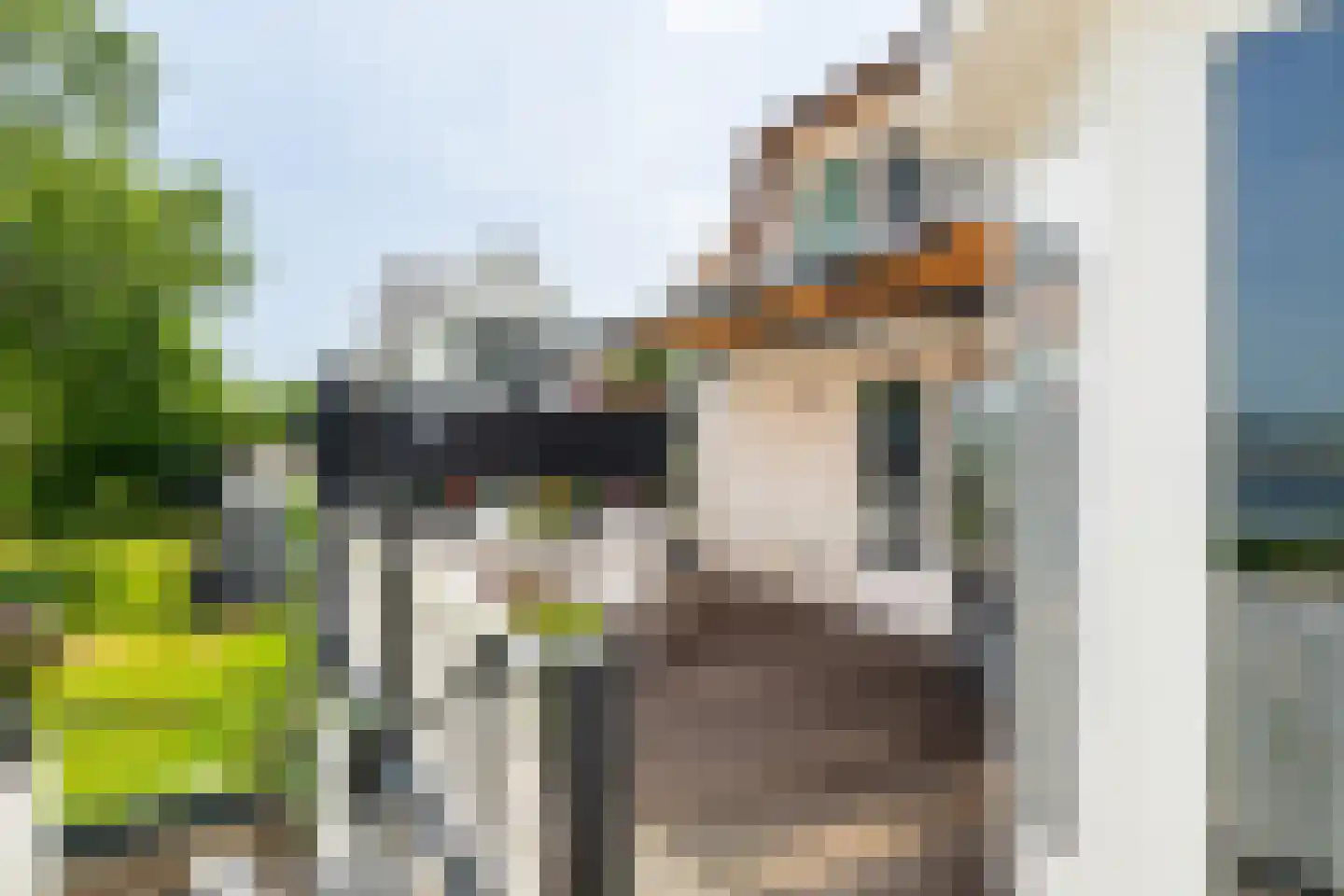Hoge Maasdijk 27 Andel thumbnail 19