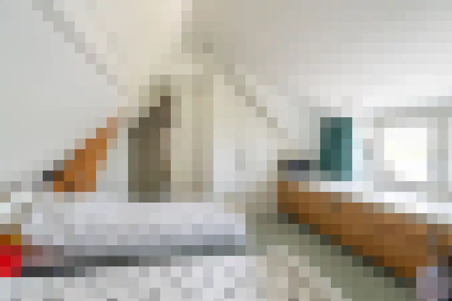 Hoge Maasdijk 27 Andel thumbnail 30