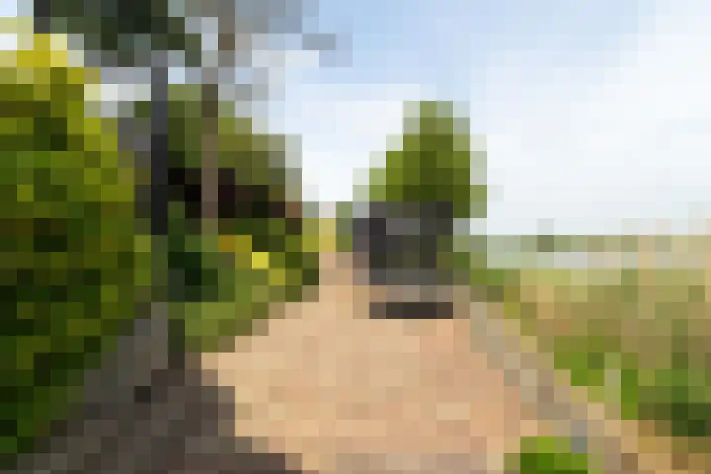 Hoge Maasdijk 27 Andel thumbnail 45