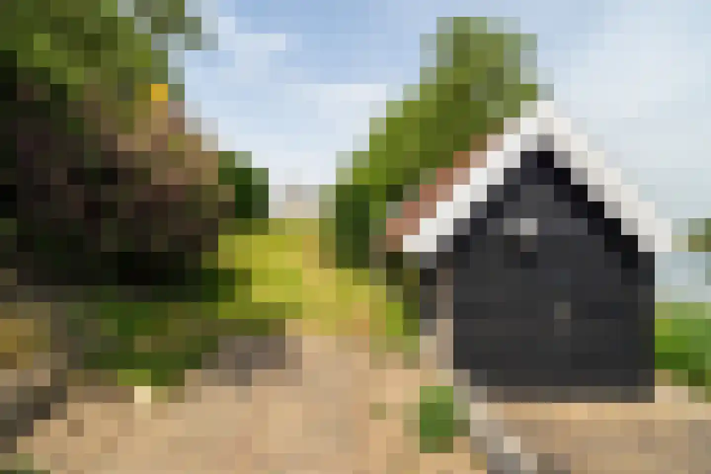 Hoge Maasdijk 27 Andel thumbnail 46