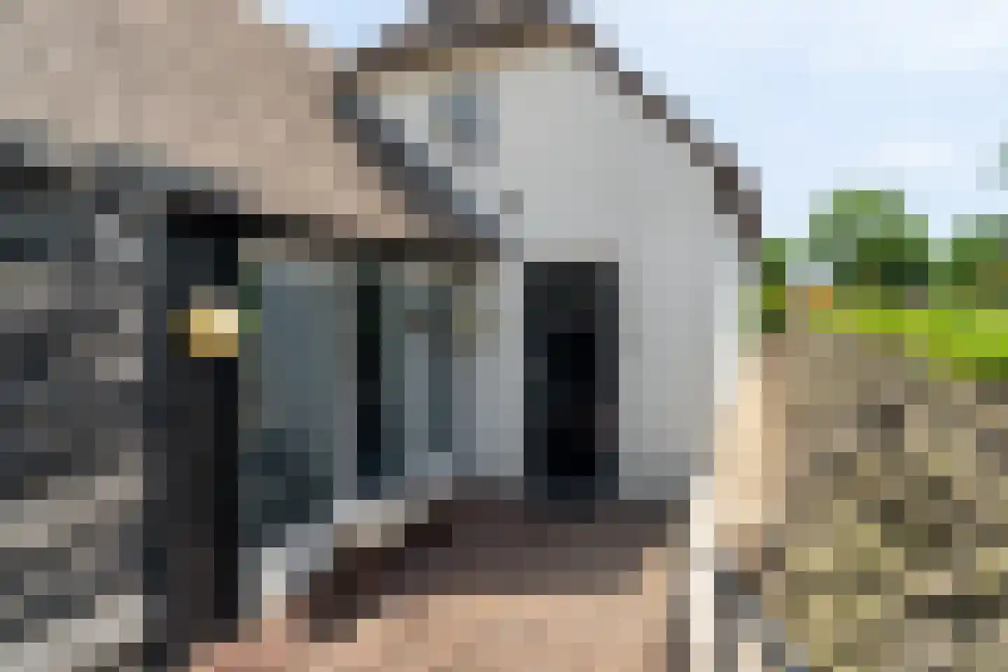 Hoge Maasdijk 27 Andel thumbnail 5