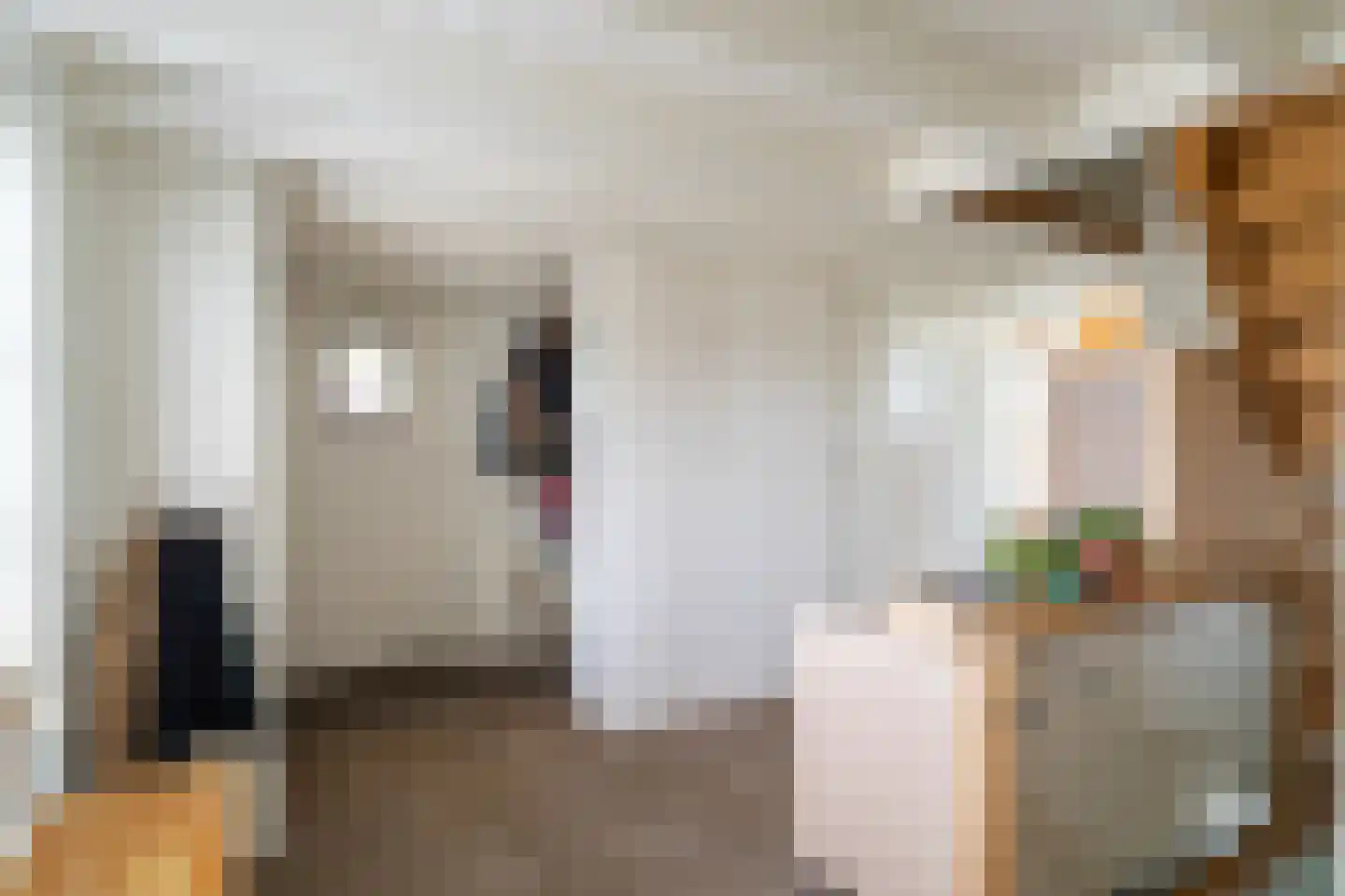 Hoge Maasdijk 27 Andel thumbnail 6