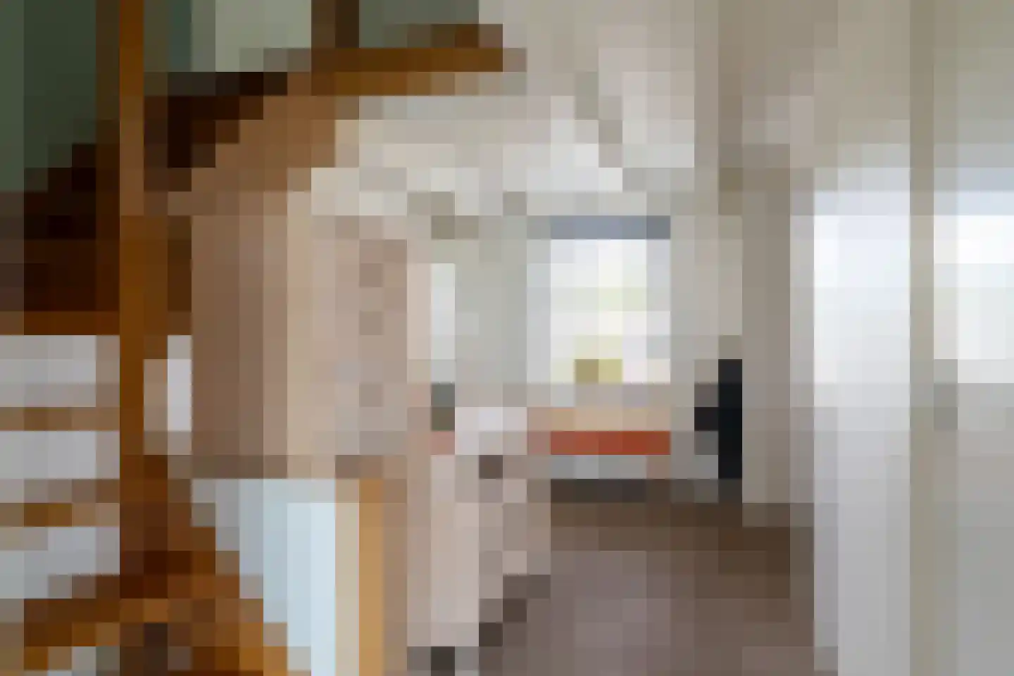 Hoge Maasdijk 27 Andel thumbnail 7