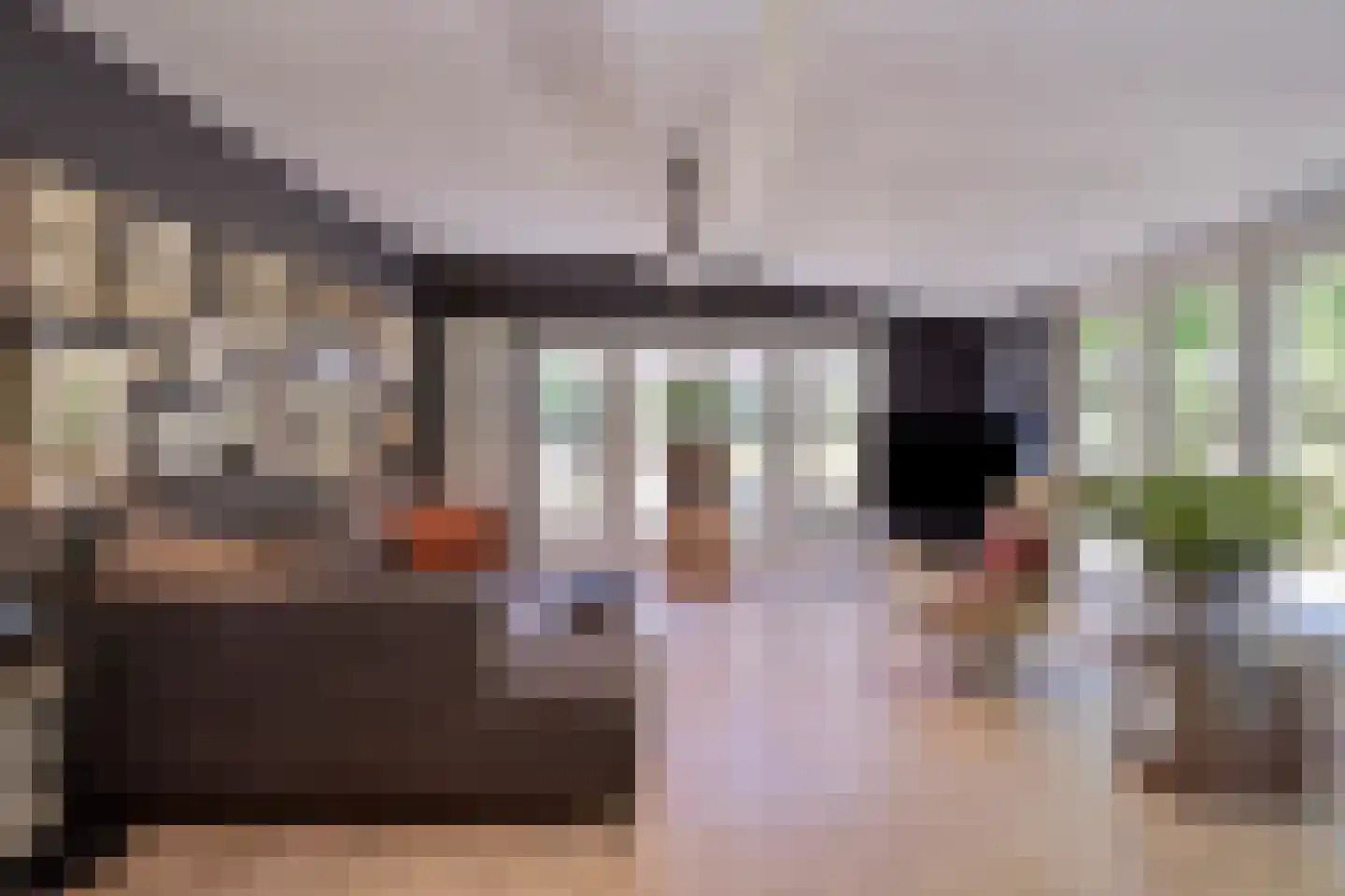 Hoge Maasdijk 3 Hedikhuizen thumbnail 10