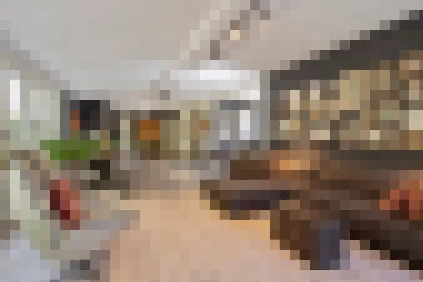 Hoge Maasdijk 3 Hedikhuizen thumbnail 12