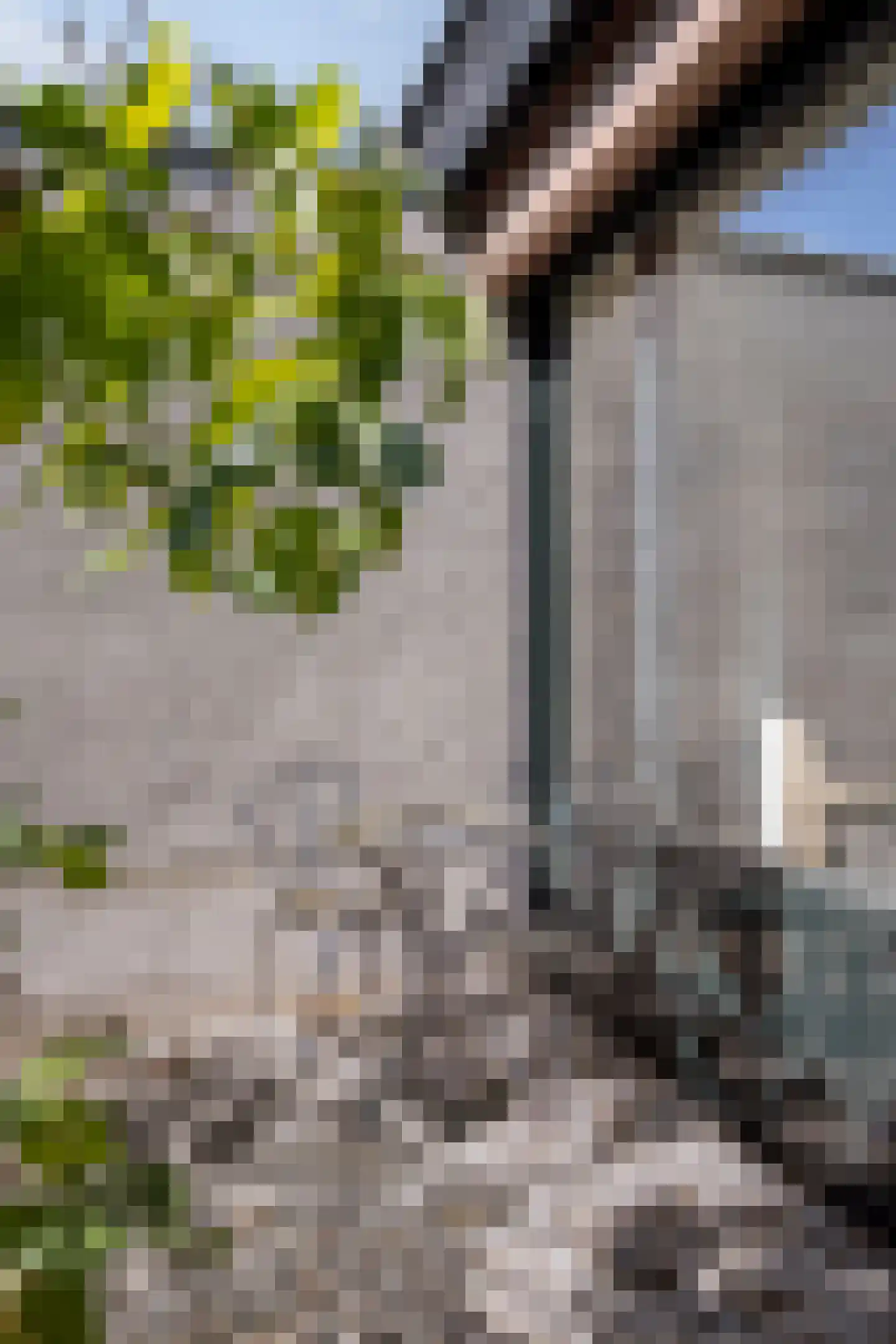 Hoge Maasdijk 3 Hedikhuizen thumbnail 16