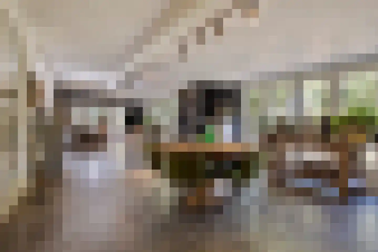 Hoge Maasdijk 3 Hedikhuizen thumbnail 18