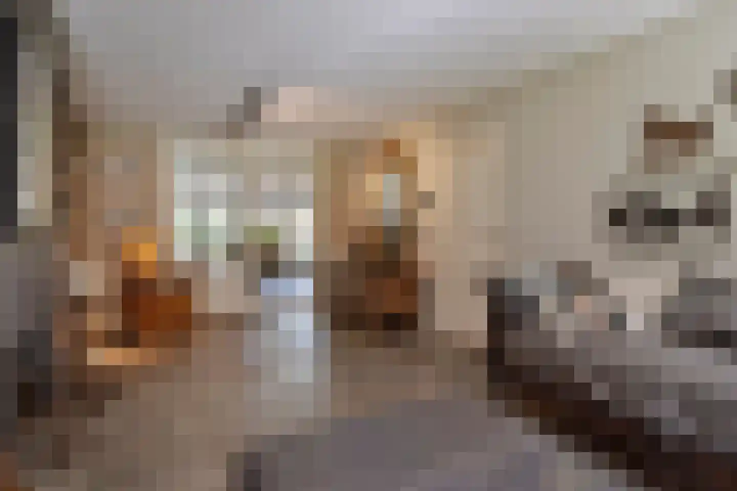 Hoge Maasdijk 3 Hedikhuizen thumbnail 21