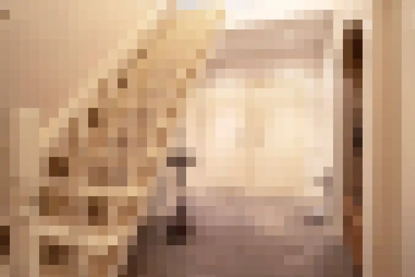 Hoge Maasdijk 3 Hedikhuizen thumbnail 25