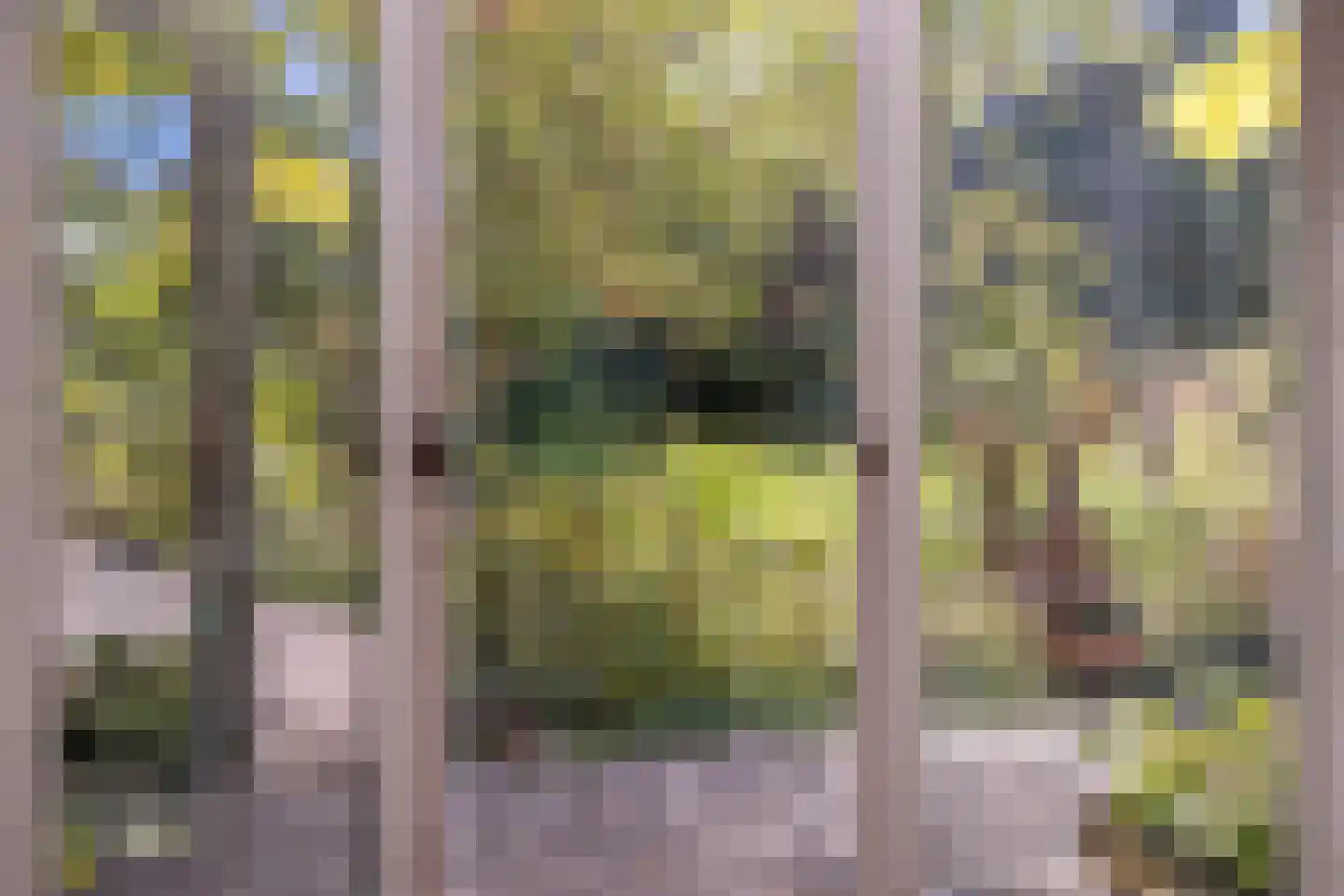 Hoge Maasdijk 3 Hedikhuizen thumbnail 31