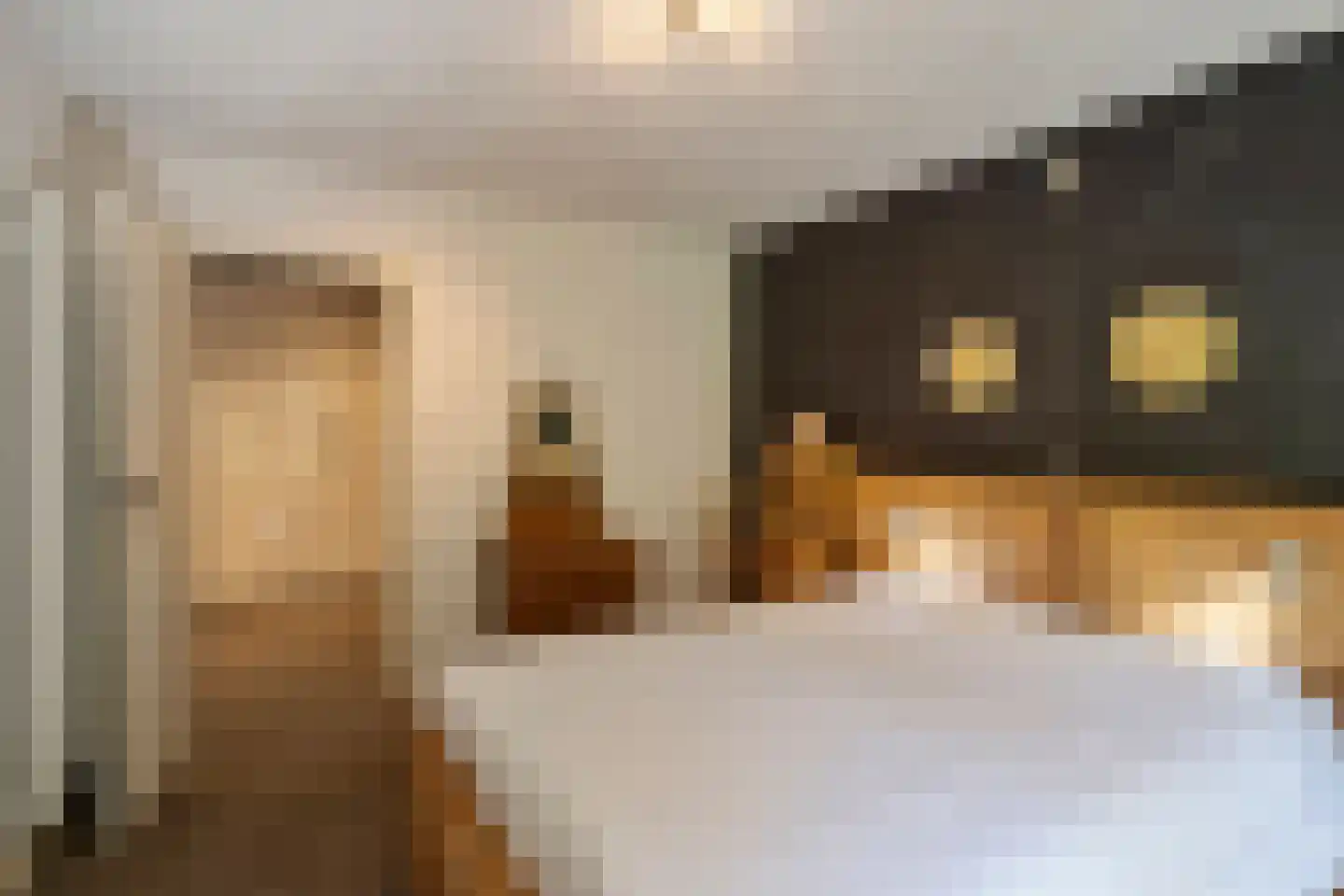 Hoge Maasdijk 3 Hedikhuizen thumbnail 32
