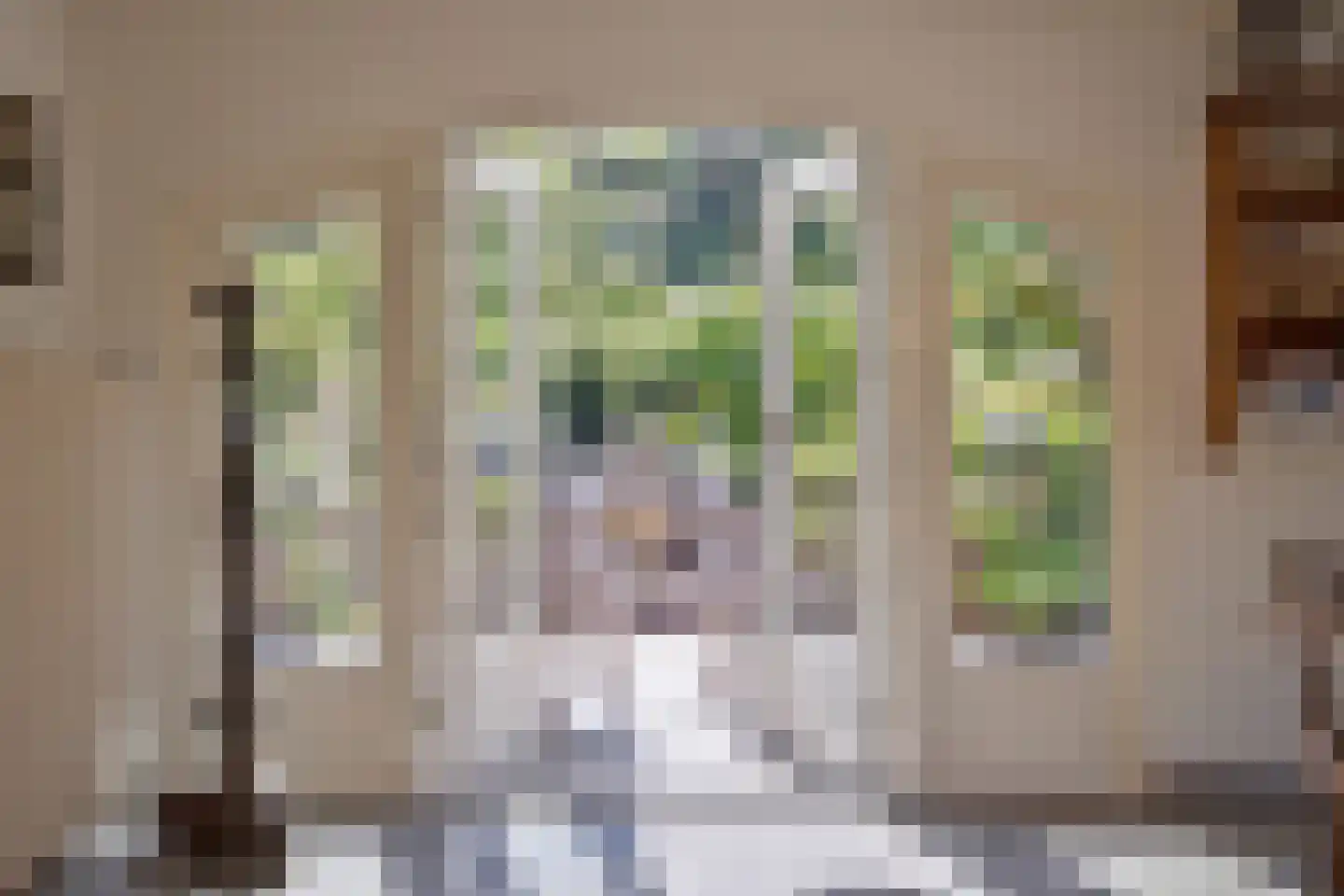 Hoge Maasdijk 3 Hedikhuizen thumbnail 4