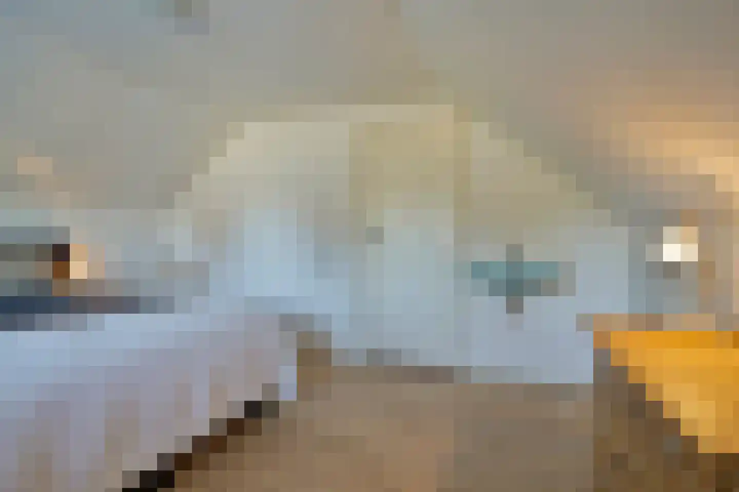 Hoge Maasdijk 3 Hedikhuizen thumbnail 42
