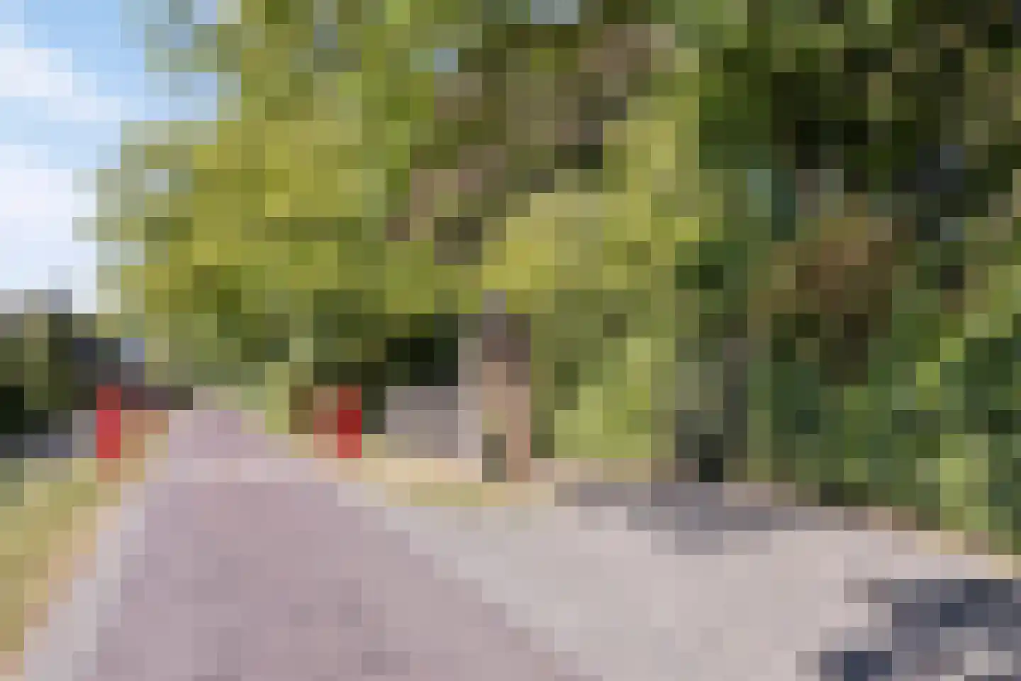 Hoge Maasdijk 3 Hedikhuizen thumbnail 44