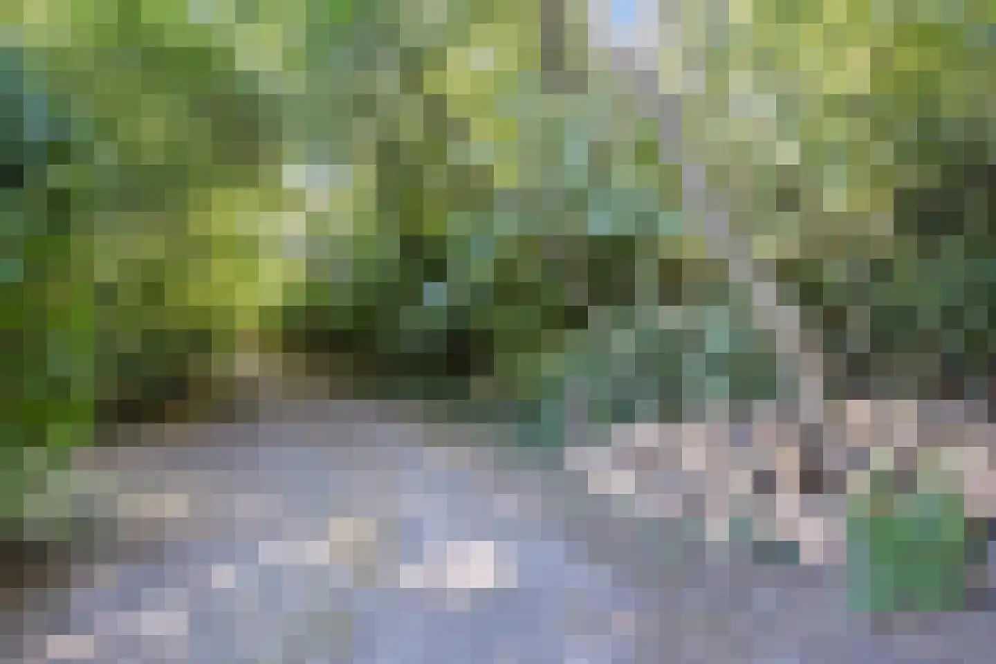 Hoge Maasdijk 3 Hedikhuizen thumbnail 45
