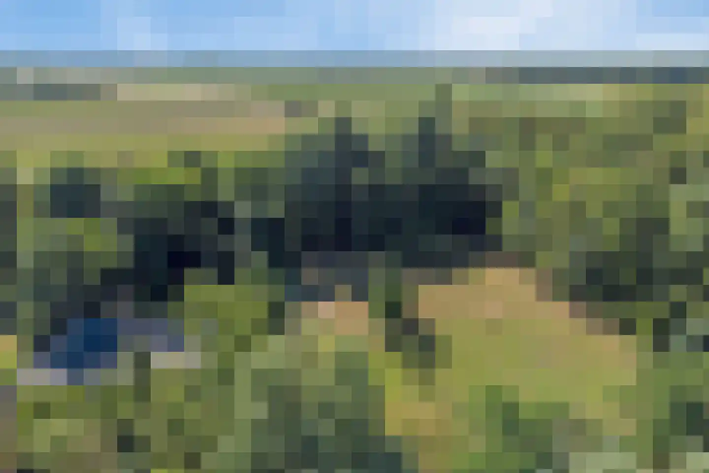 Hoge Maasdijk 3 Hedikhuizen thumbnail 46
