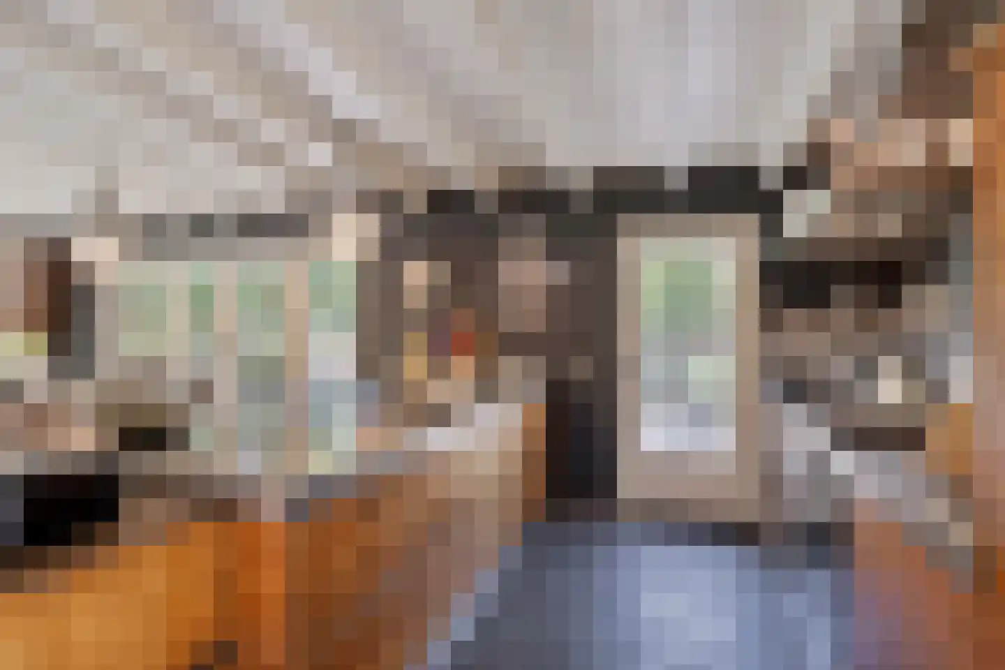 Hoge Maasdijk 3 Hedikhuizen thumbnail 5
