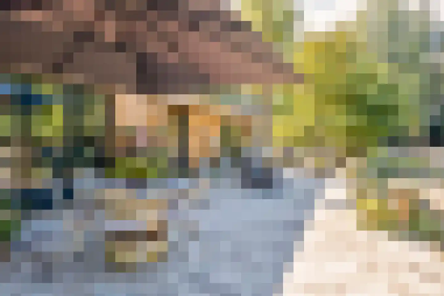 Hoge Maasdijk 3 Hedikhuizen thumbnail 50
