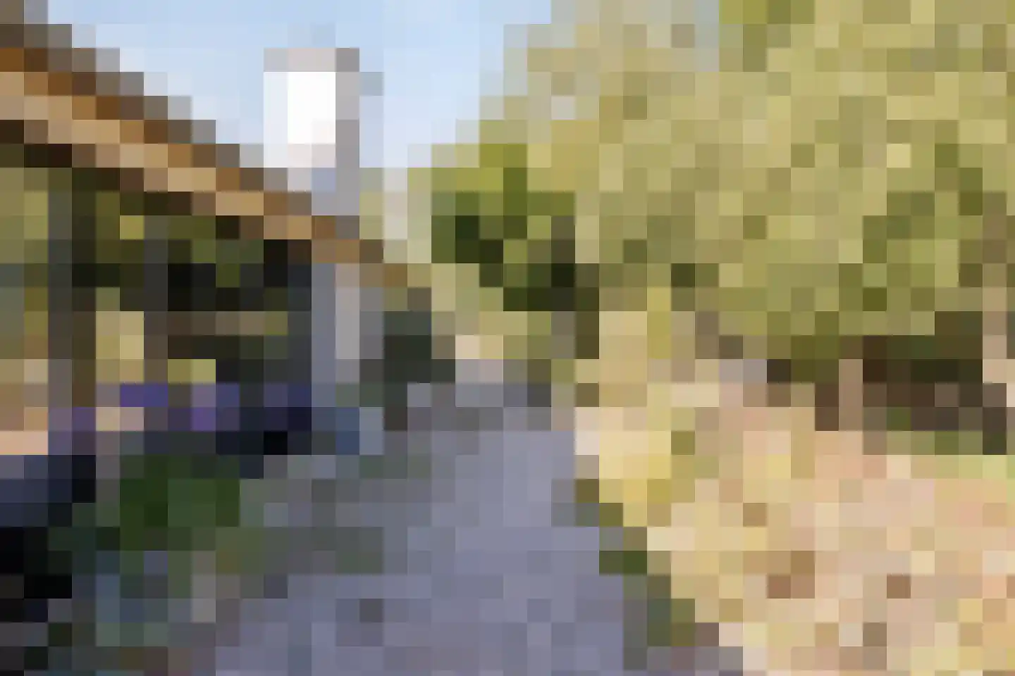 Hoge Maasdijk 3 Hedikhuizen thumbnail 51