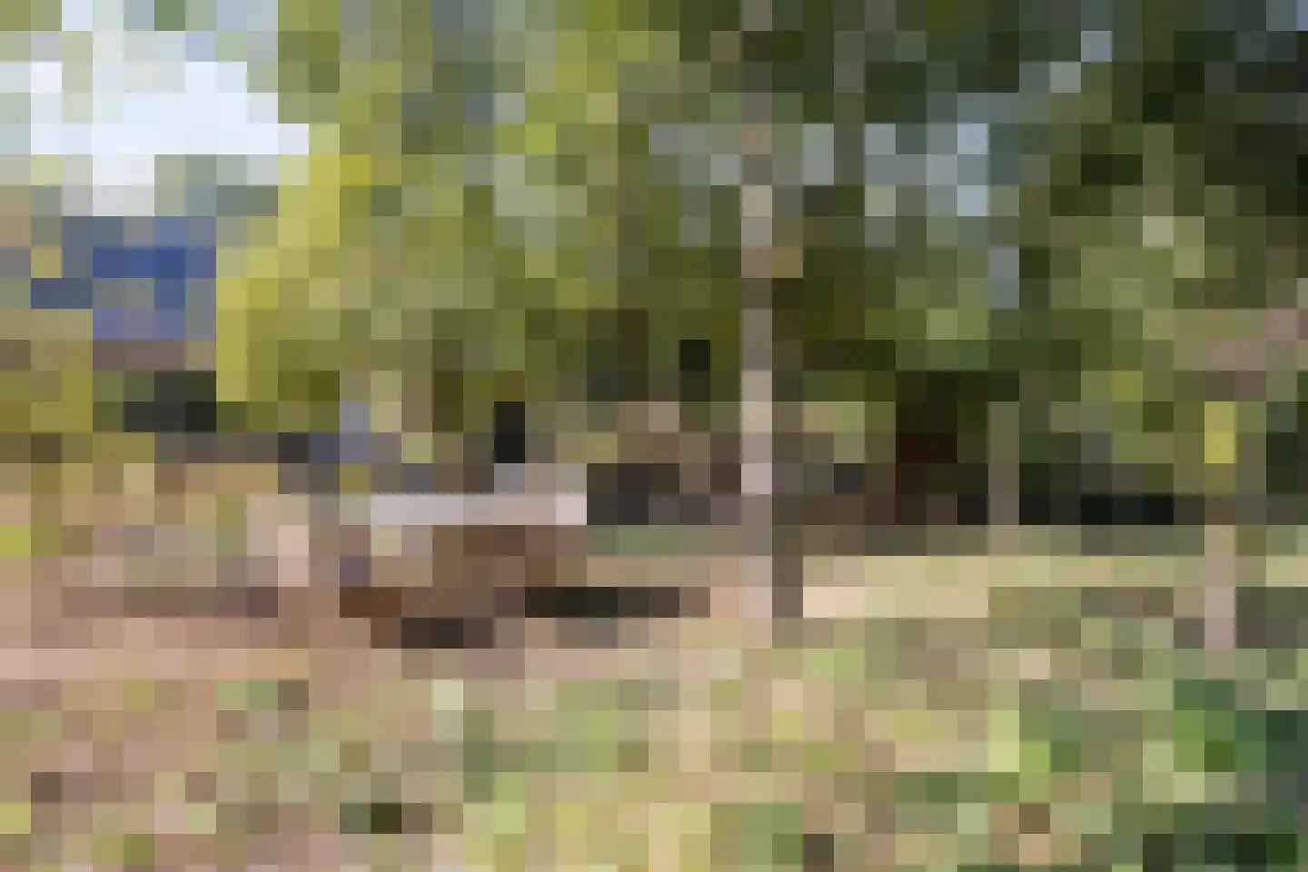 Hoge Maasdijk 3 Hedikhuizen thumbnail 52