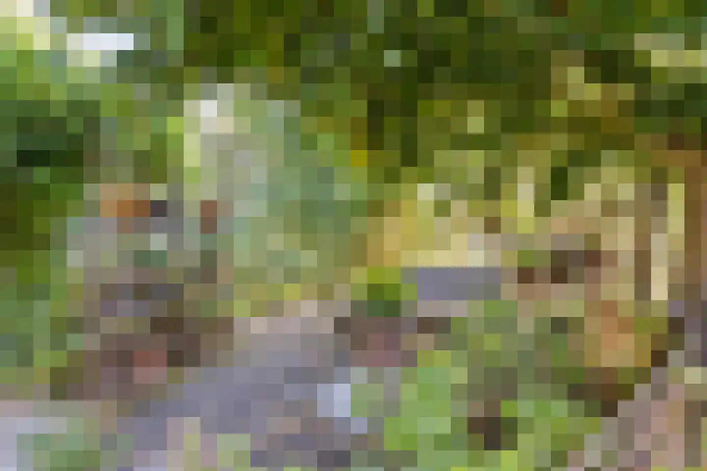 Hoge Maasdijk 3 Hedikhuizen thumbnail 53