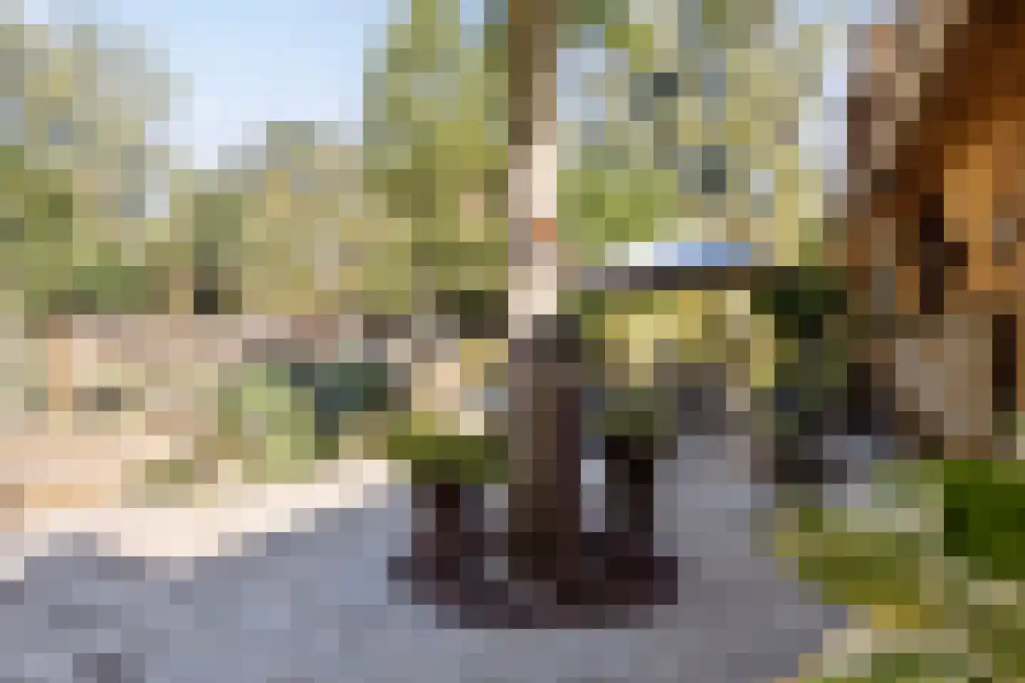 Hoge Maasdijk 3 Hedikhuizen thumbnail 54