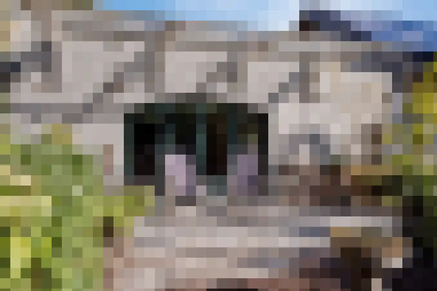 Hoge Maasdijk 3 Hedikhuizen thumbnail 57