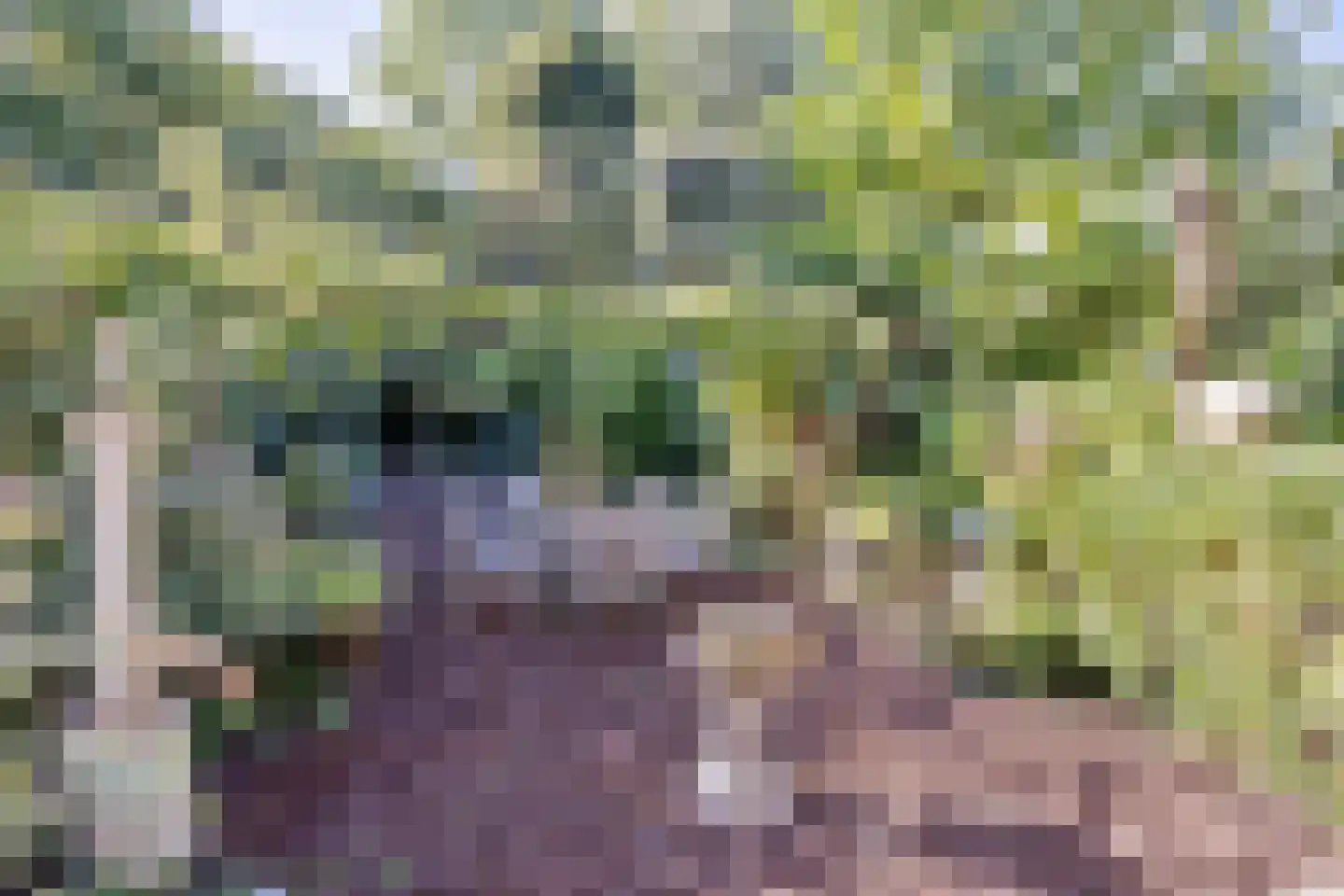 Hoge Maasdijk 3 Hedikhuizen thumbnail 59