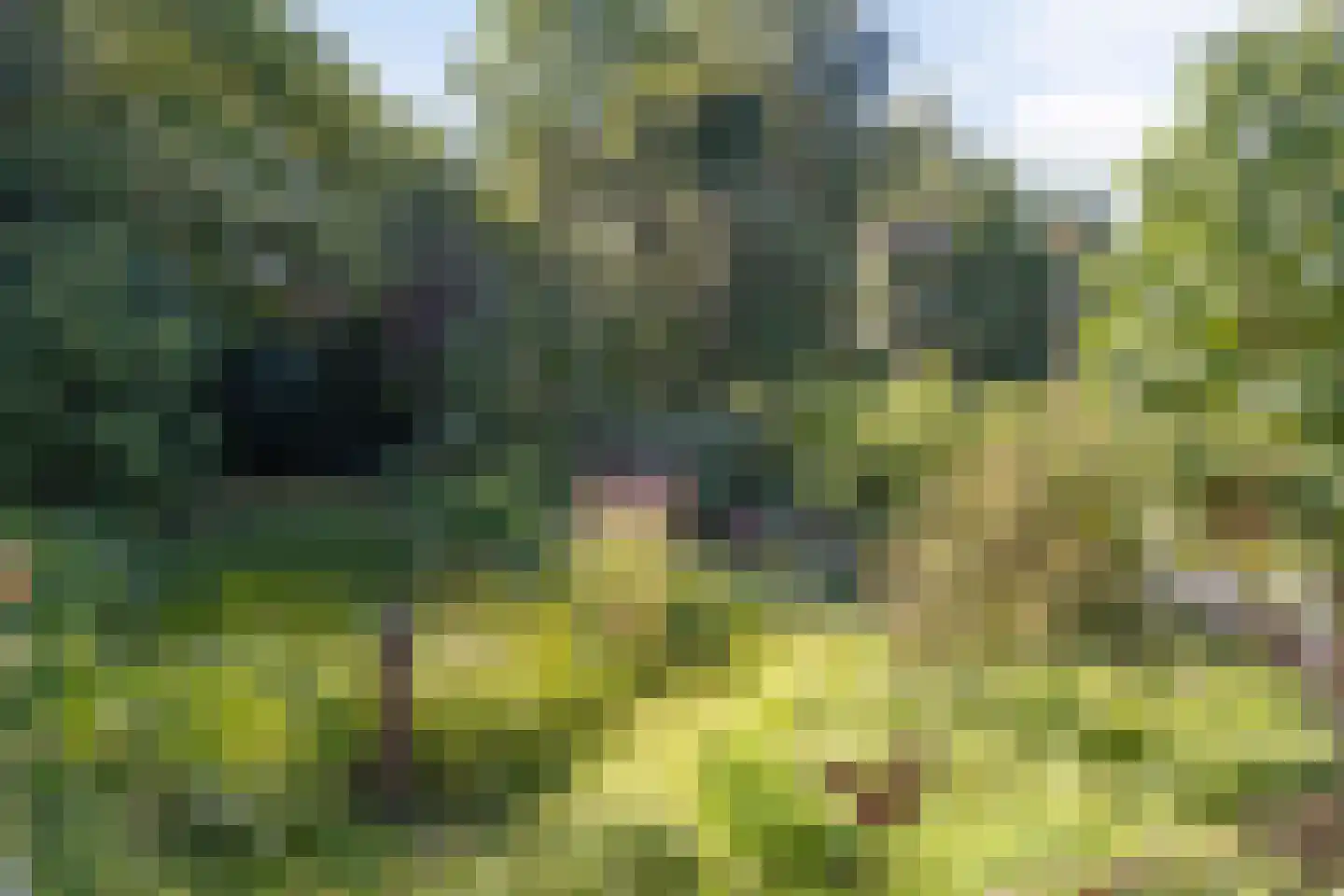 Hoge Maasdijk 3 Hedikhuizen thumbnail 60