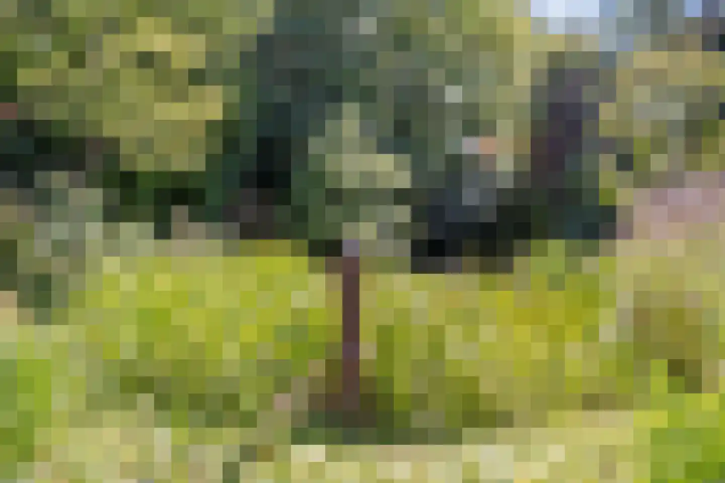 Hoge Maasdijk 3 Hedikhuizen thumbnail 61