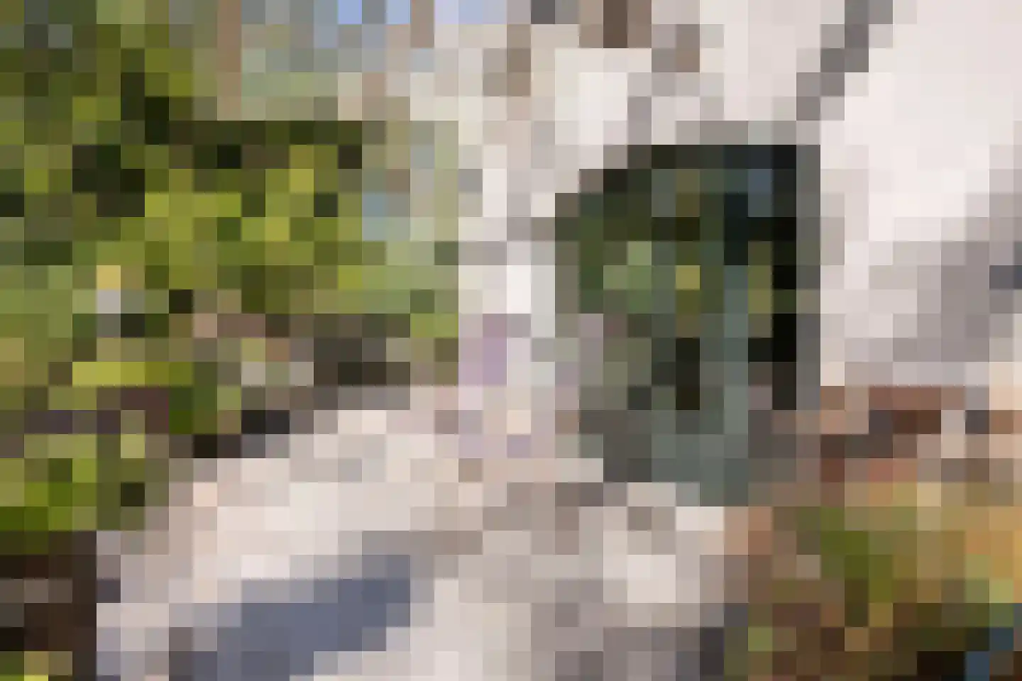 Hoge Maasdijk 3 Hedikhuizen thumbnail 62