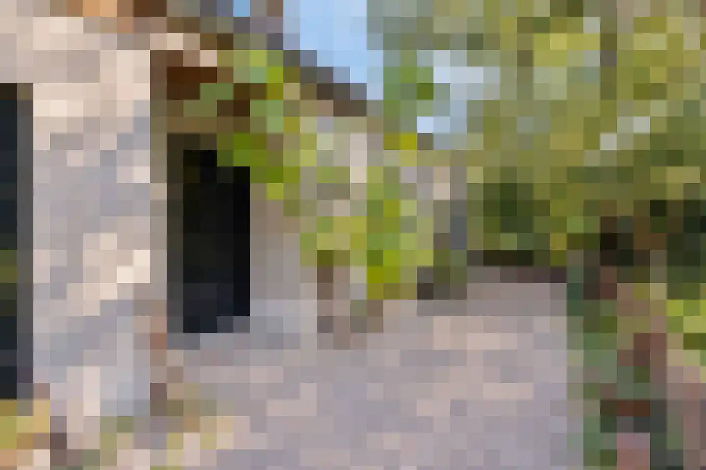 Hoge Maasdijk 3 Hedikhuizen thumbnail 63