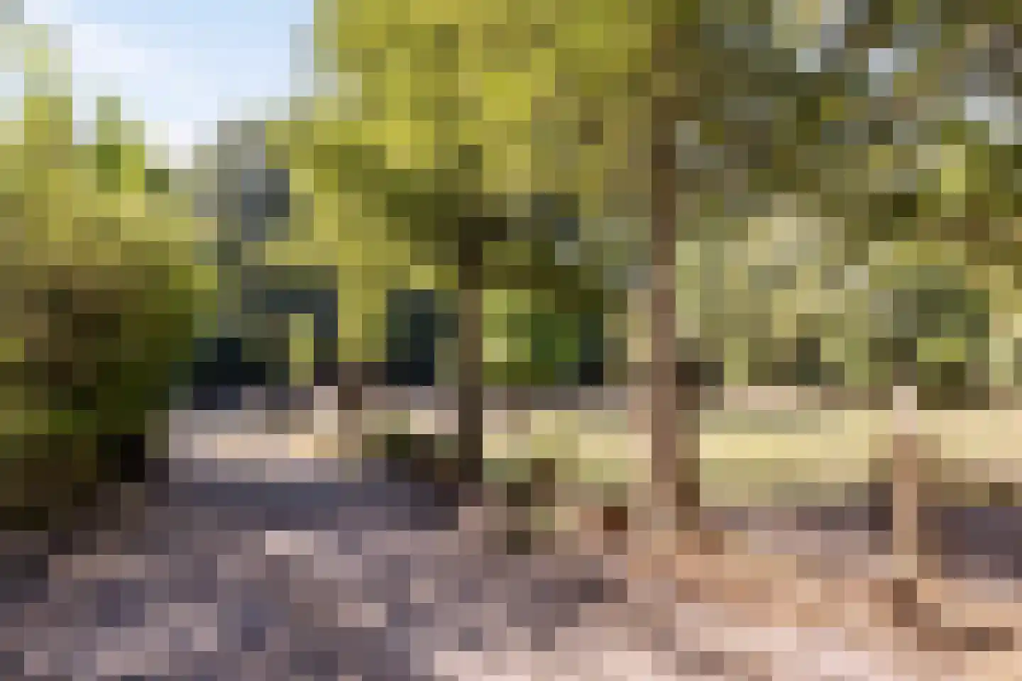 Hoge Maasdijk 3 Hedikhuizen thumbnail 65
