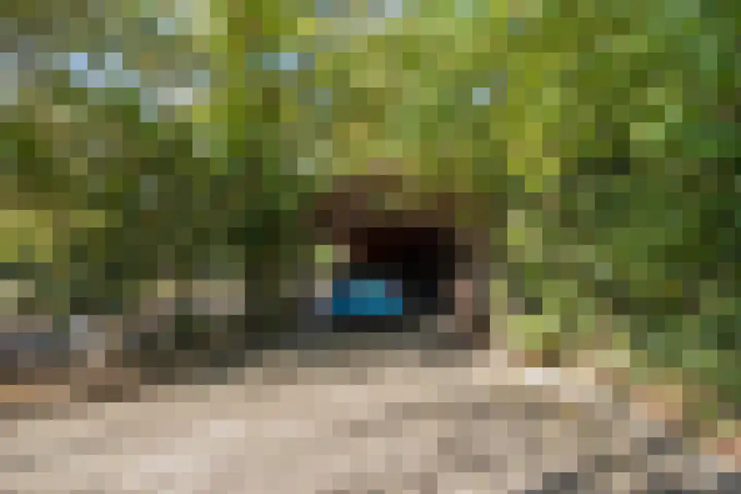 Hoge Maasdijk 3 Hedikhuizen thumbnail 66
