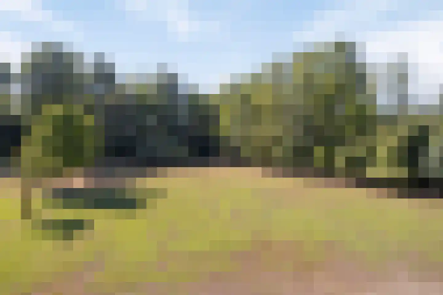 Hoge Maasdijk 3 Hedikhuizen thumbnail 67