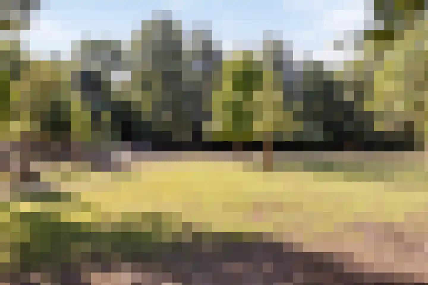 Hoge Maasdijk 3 Hedikhuizen thumbnail 68