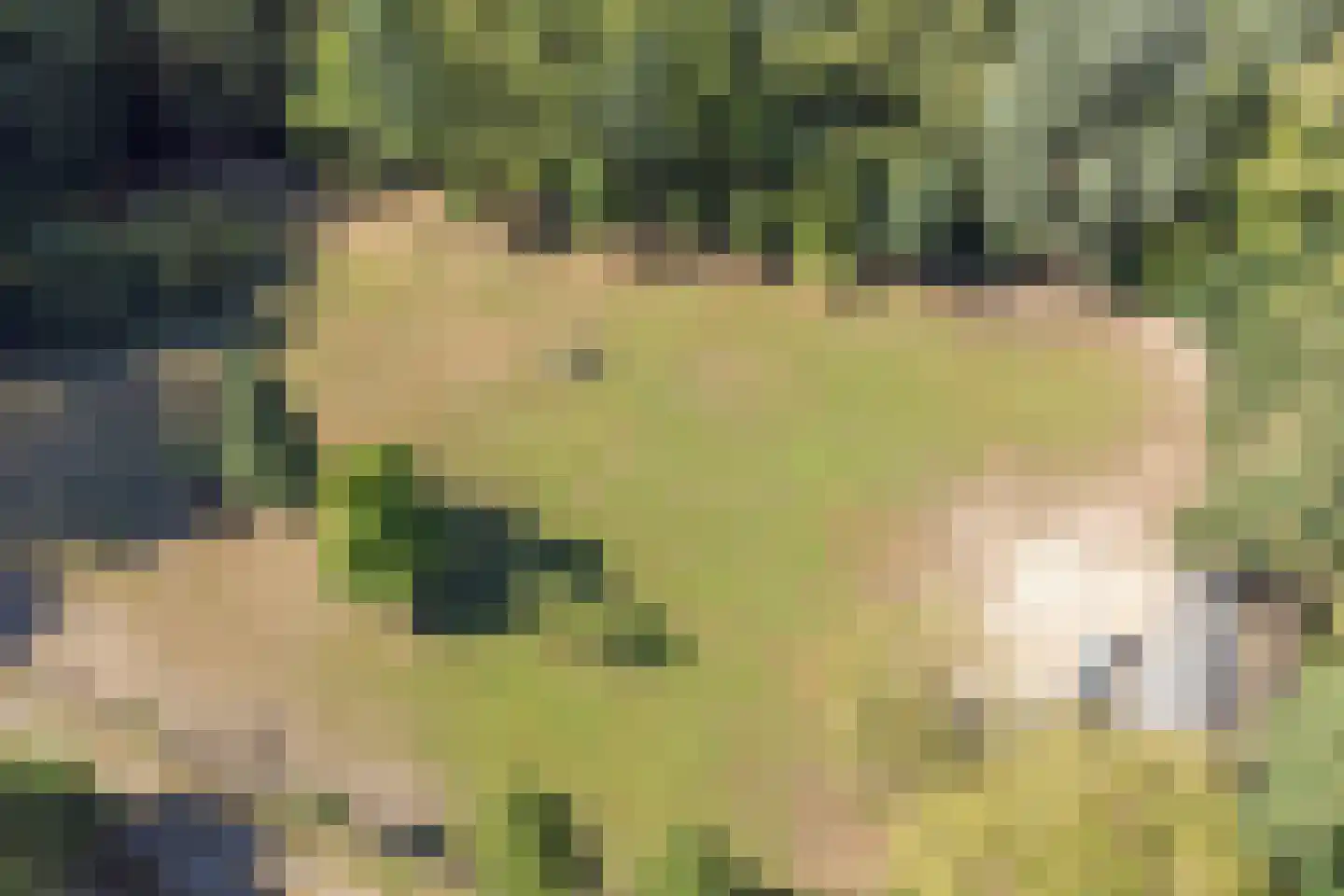 Hoge Maasdijk 3 Hedikhuizen thumbnail 69