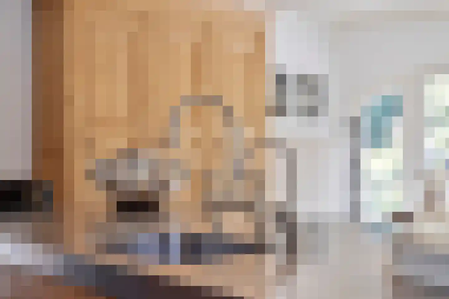 Hoge Maasdijk 3 Hedikhuizen thumbnail 7