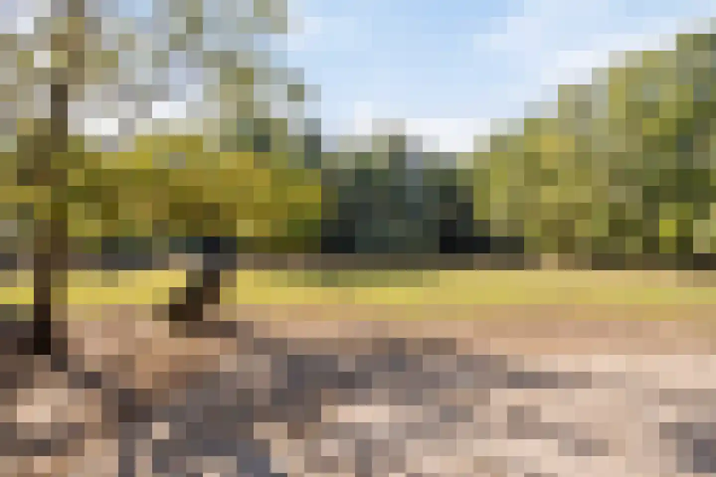 Hoge Maasdijk 3 Hedikhuizen thumbnail 70