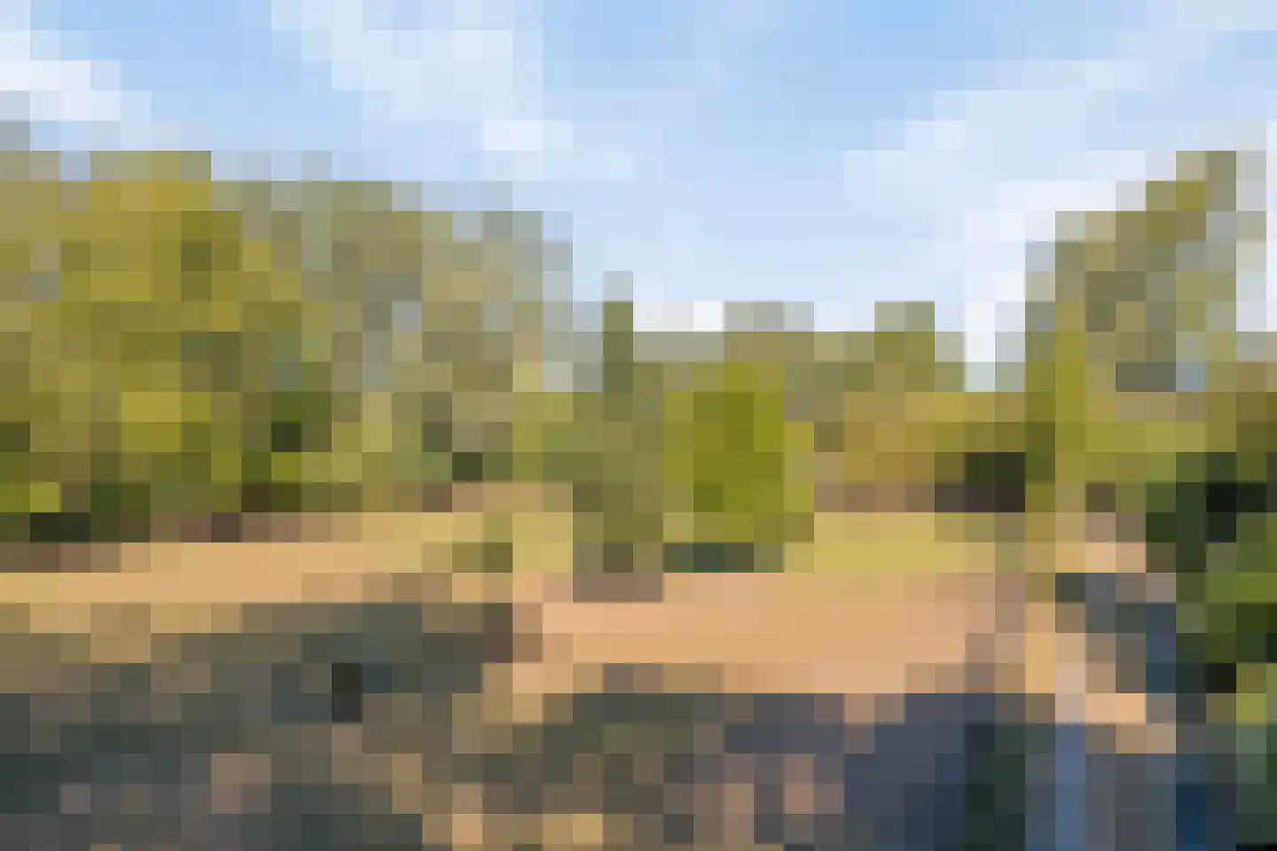 Hoge Maasdijk 3 Hedikhuizen thumbnail 71
