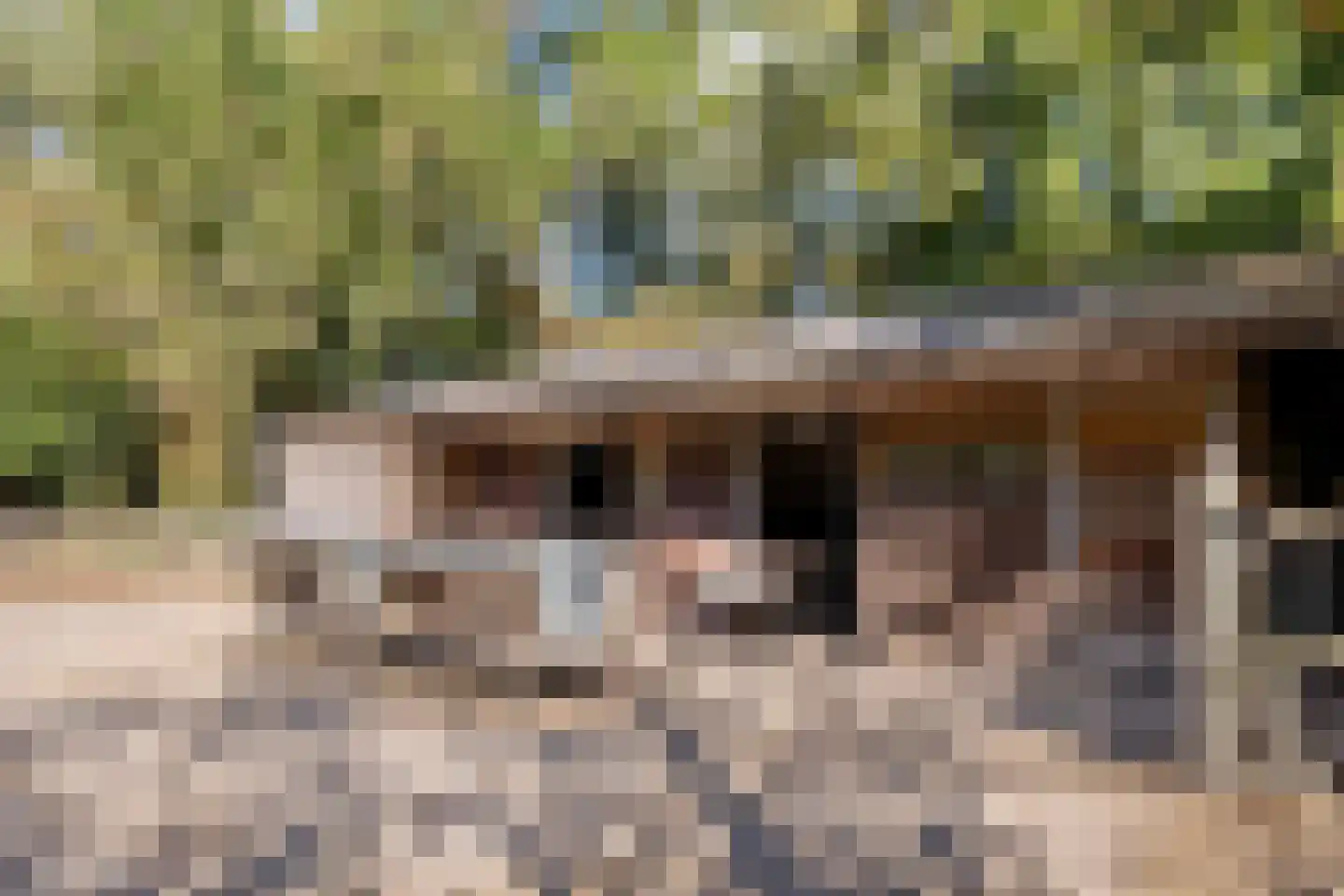 Hoge Maasdijk 3 Hedikhuizen thumbnail 73