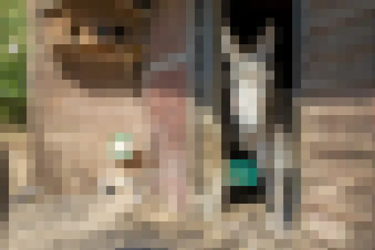 Hoge Maasdijk 3 Hedikhuizen thumbnail 74