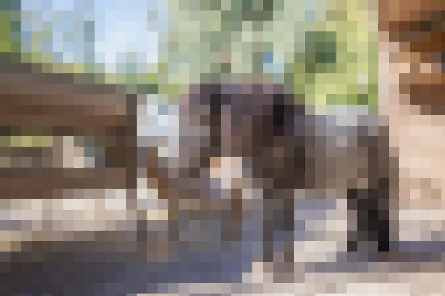 Hoge Maasdijk 3 Hedikhuizen thumbnail 75