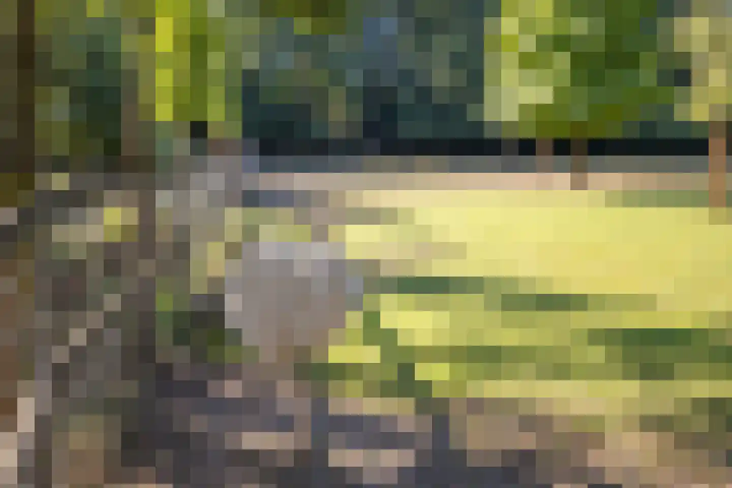 Hoge Maasdijk 3 Hedikhuizen thumbnail 76